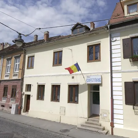 Casa Artistilor Apartment Sibiu